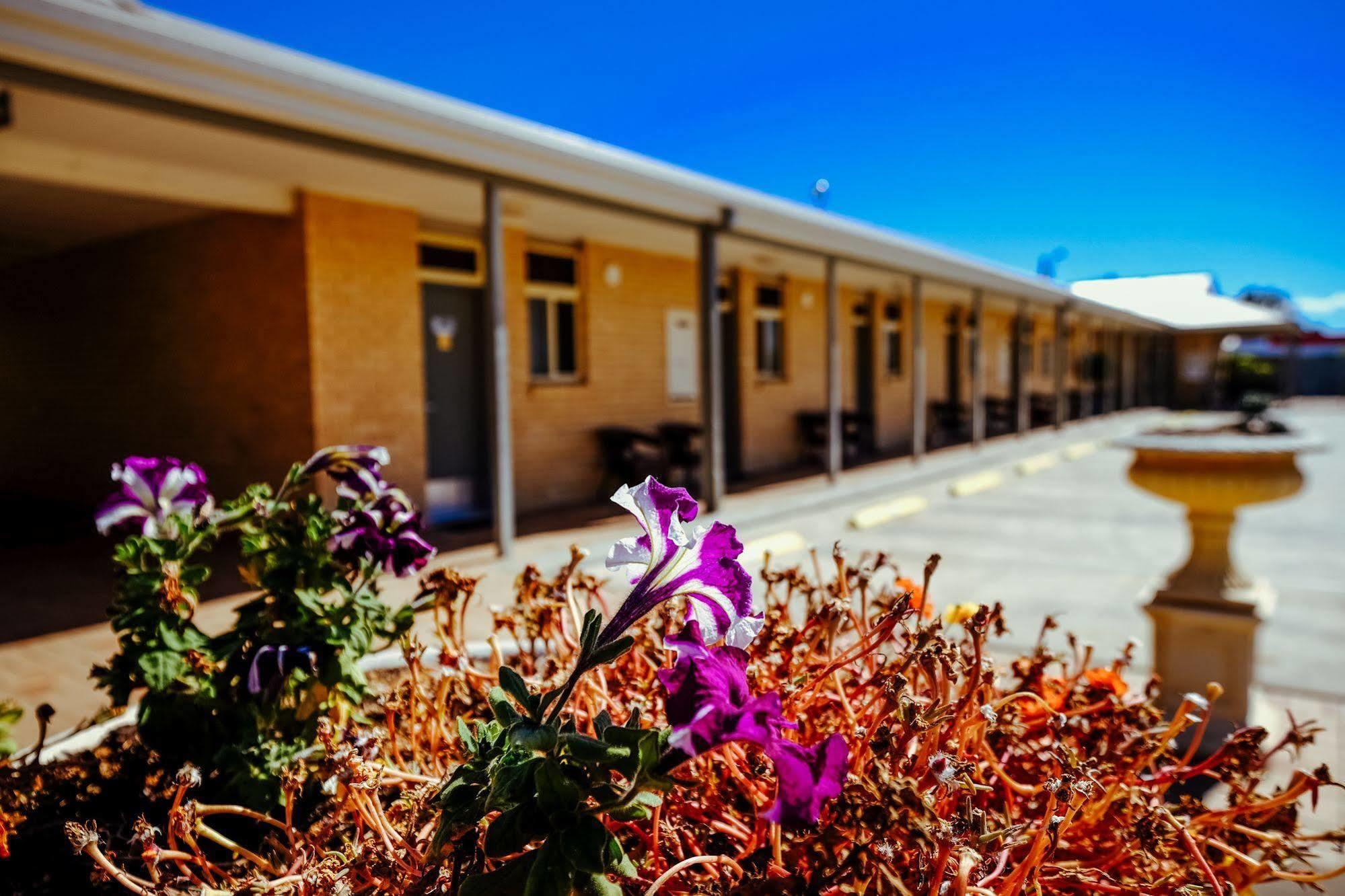 Club Motor Inn Narrabri Exterior photo